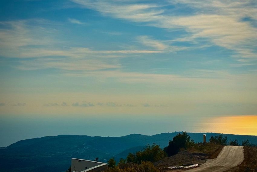 3343198_a9569e2a-dab1-4c8f-bed8-07c3b4763c22