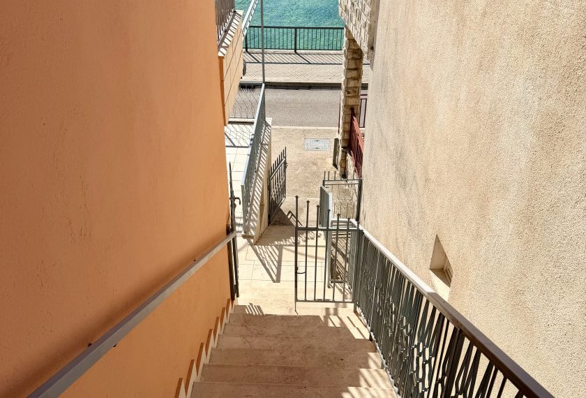 3934764_img_5903